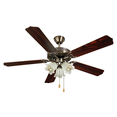 Queen Chef Wall Fan D52006