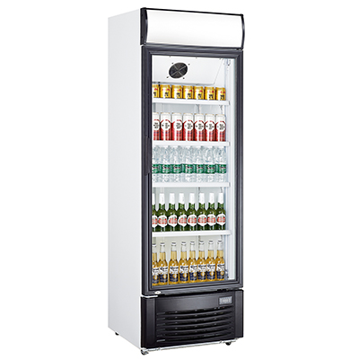 Queen Chef Showcase Fridge LG 352